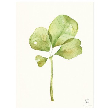 Foglia | illustrazione ad acquarello