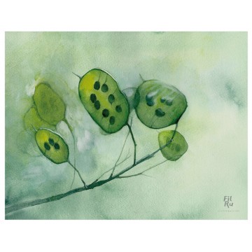 Lunaria | illustrazione ad acquarello