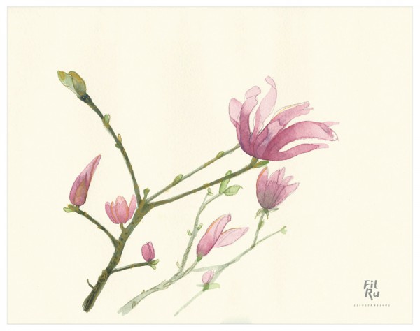 Ramo fiorito | illustrazione ad acquarello